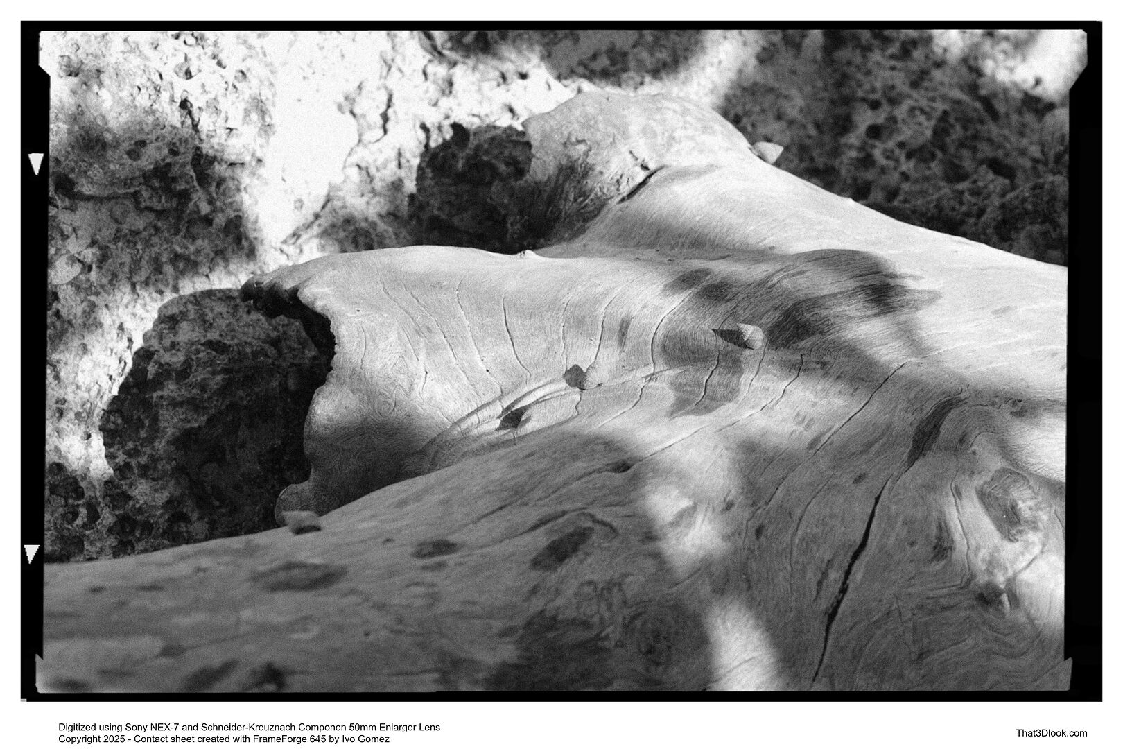 Film photograph emphasizing depth and texture