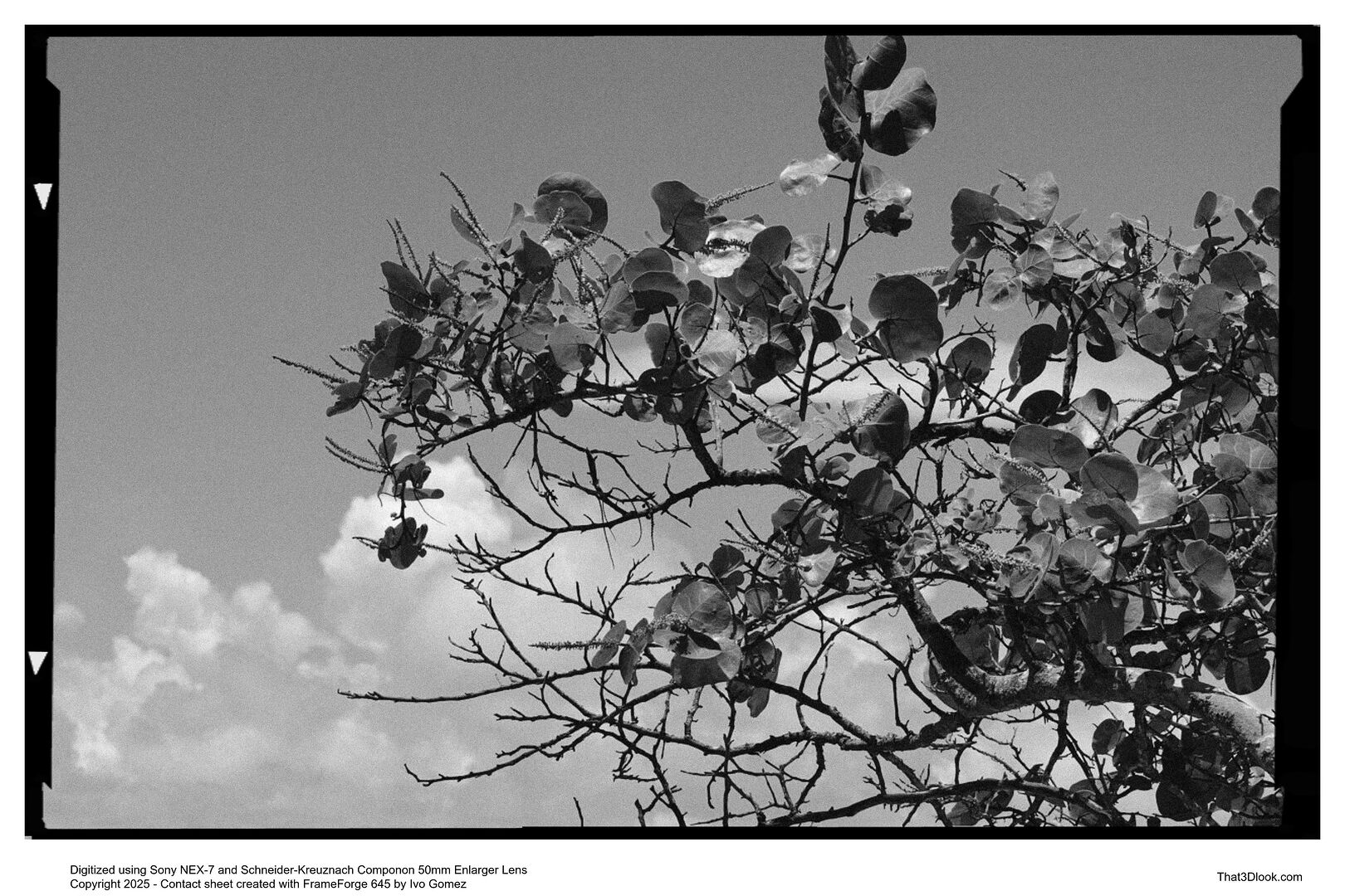 Black and white film photograph with 3D Look
