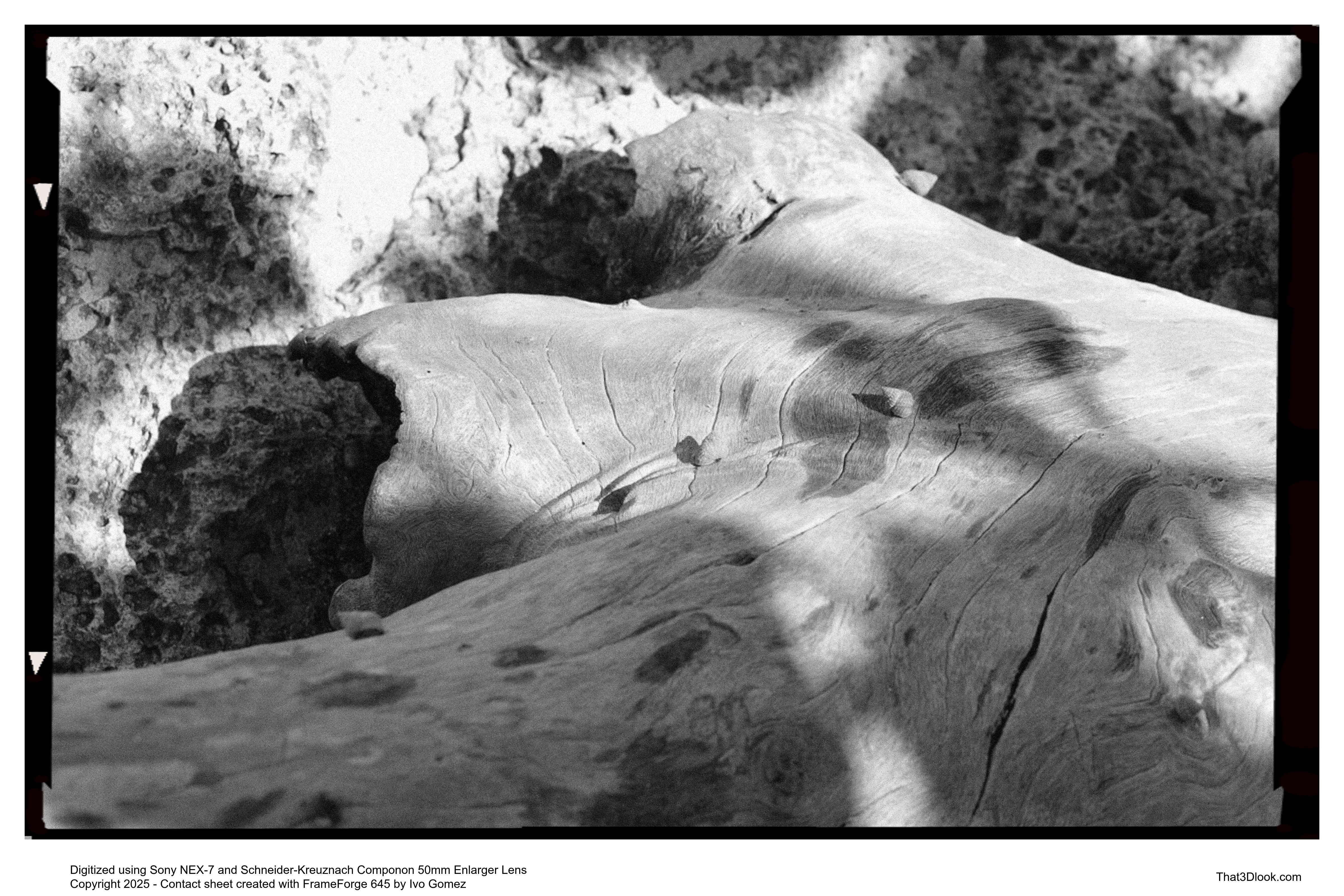 Film photograph emphasizing depth and texture