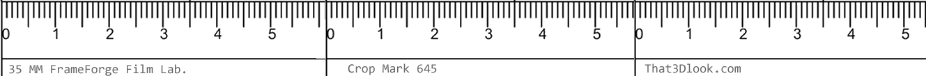 Ruler Overlay